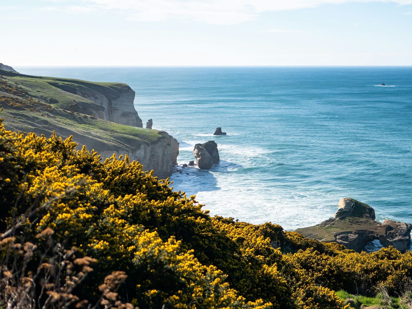 Dunedin Cliff