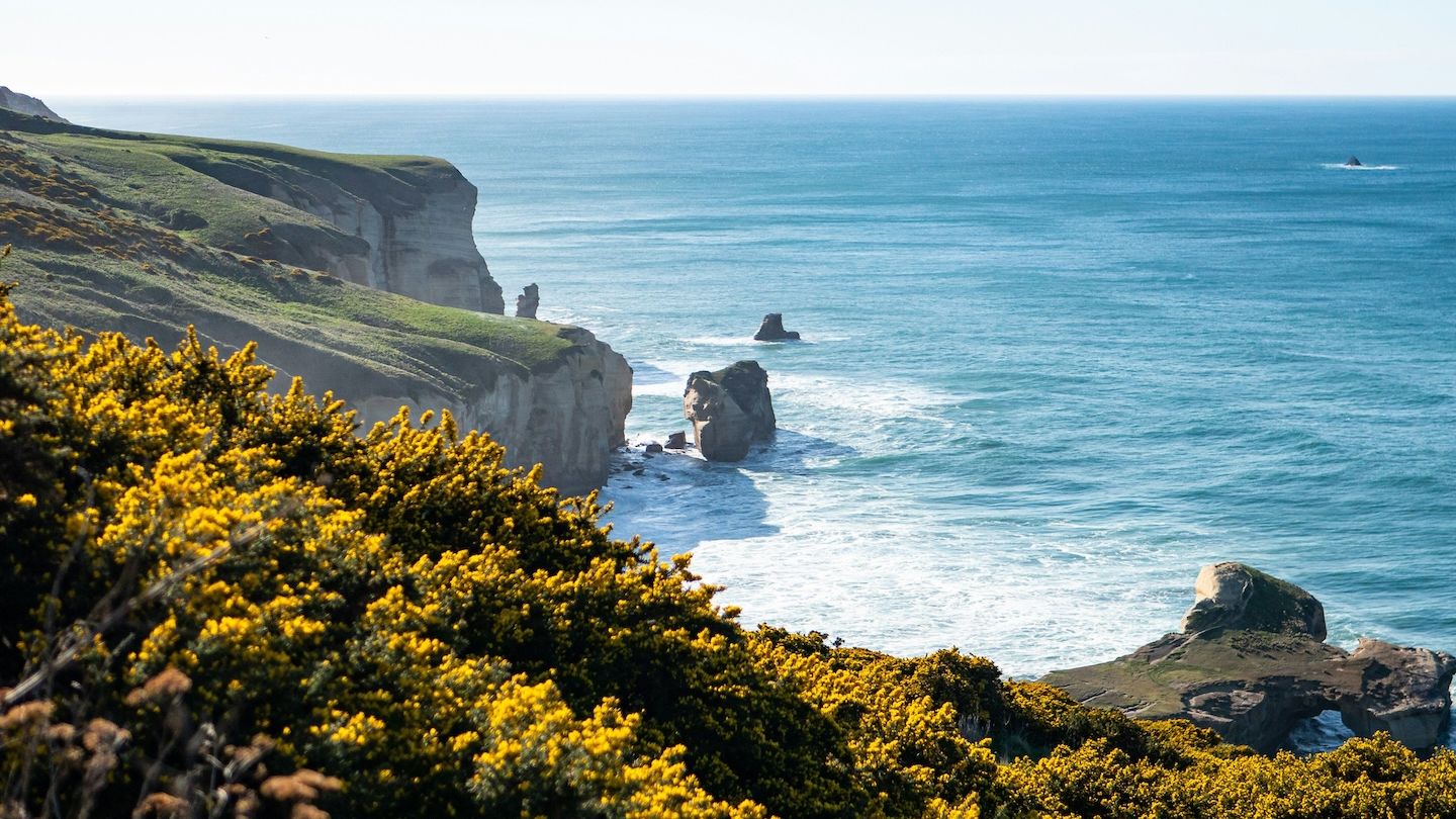 Dunedin Cliff